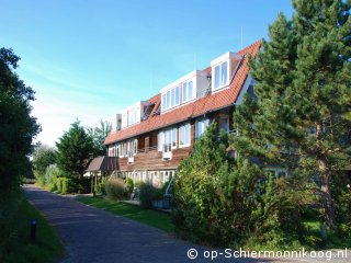 Boszicht 7, New Year`s Eve on Schiermonnikoog