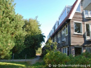 Hazelaar (8) in Boszicht, Culture on Schiermonnikoog