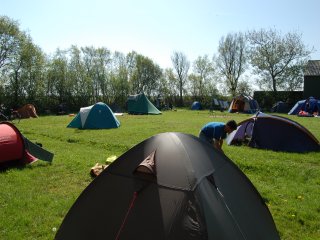 Boerencamping Springfield, Holiday home on Schiermonnikoog for 6 persons