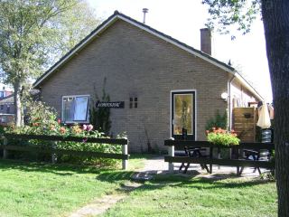 Compositae, Holiday home on Schiermonnikoog for 2 persons