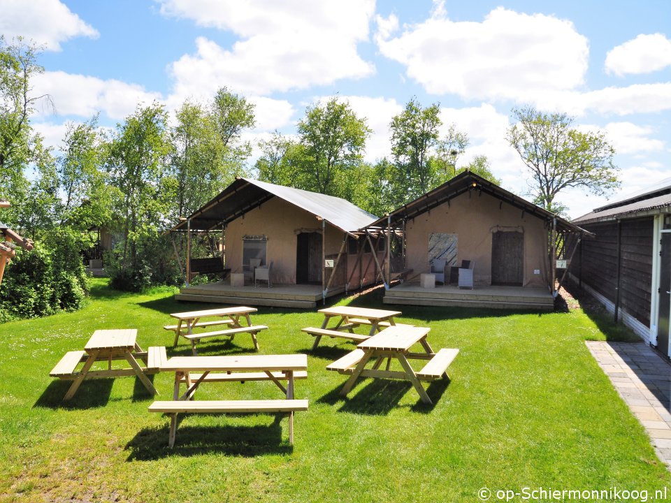 Luxe Safarigroepstenten op Groepsaccommodatie Eureca, Camping on Schiermonnikoog